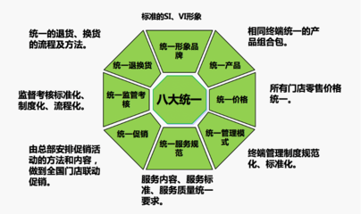 卓力电器国内市场品牌营销策划案